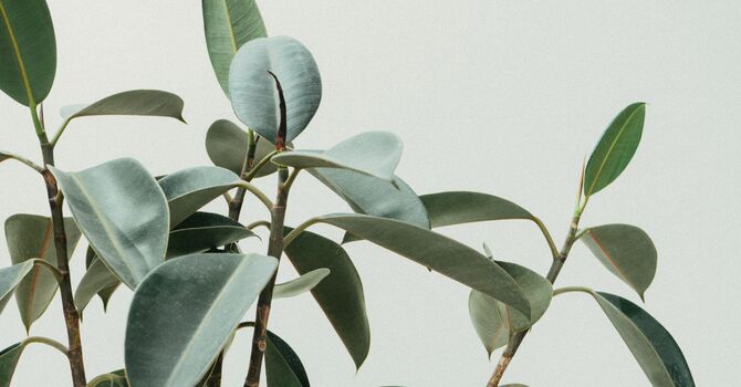 Subconscious Transformation Session